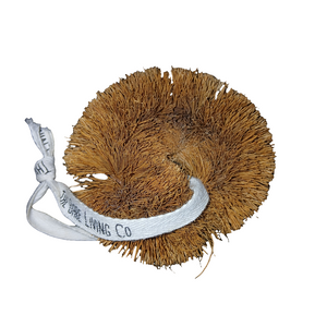 **CLEARANCE ** Coconut Husk Scourer