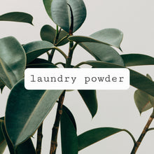 Load image into Gallery viewer, ***CLEARANCE*** Laundry powder 500g